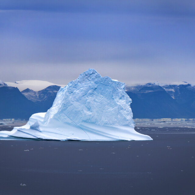 Iceberg