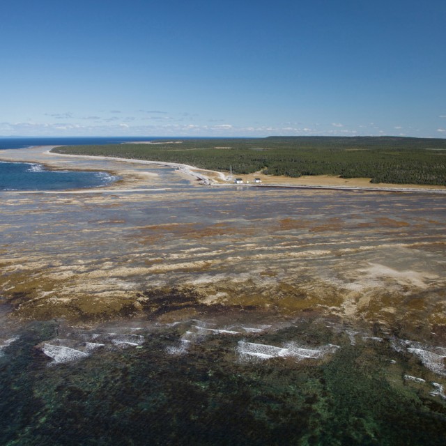 Gulf of St Lawrence Cruise