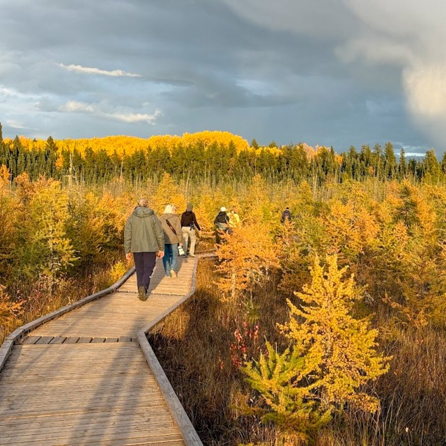 Tamarack Bog hike
