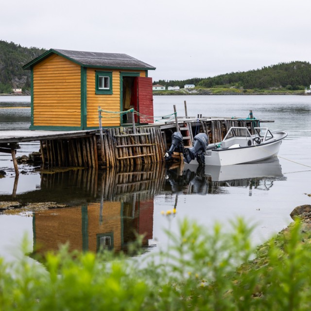 Gulf of St Lawrence Cruise
