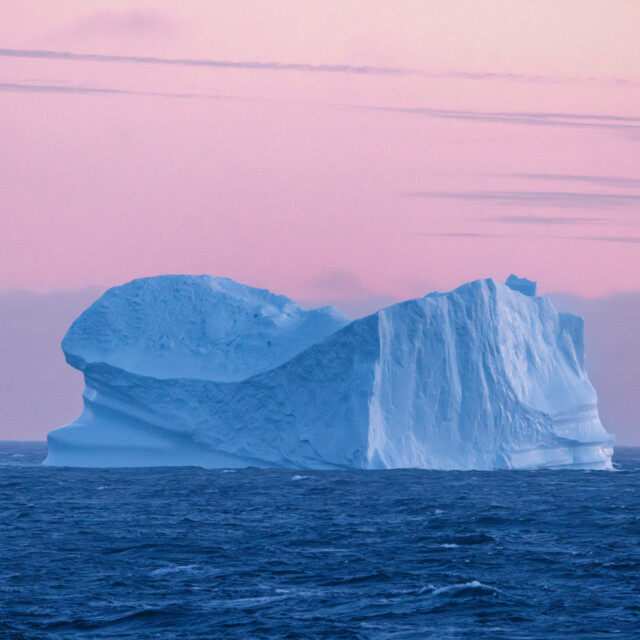 Iceberg