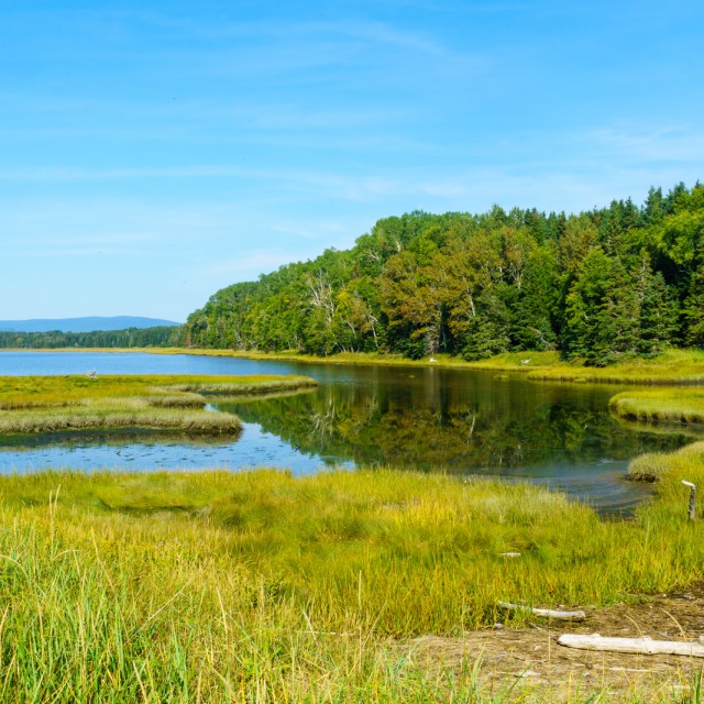Landscape of forest and pools in the Penouille sector of Forillon National Park, Gaspe Peninsula, Quebec, Canada