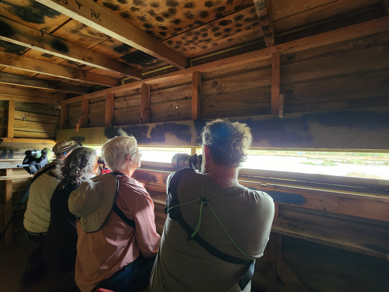 Pauatahanui Wildlife Reserve