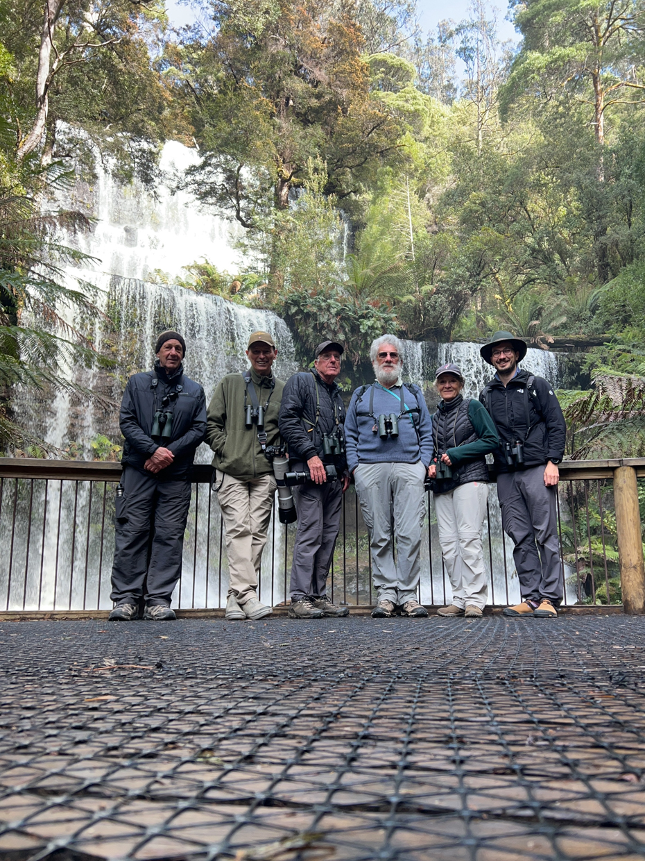Birding group at Russell Falls