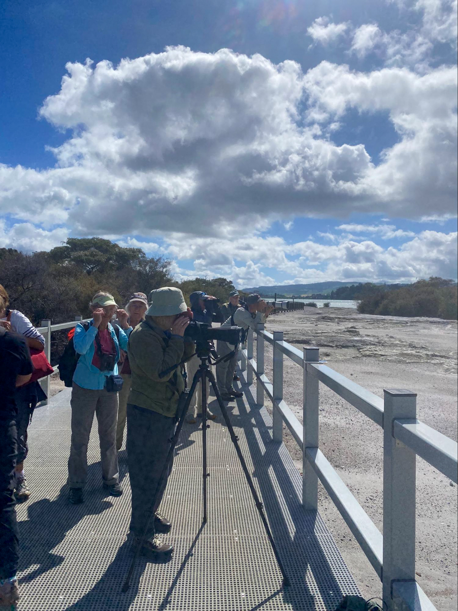 Scoping out Black-billed gulls at Sulphur Point, Rotorua
