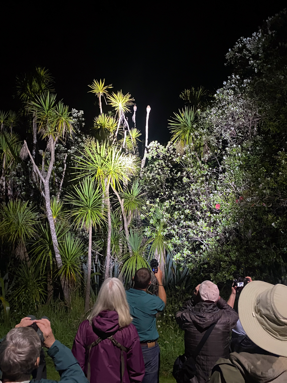 Shakespear Regional Park