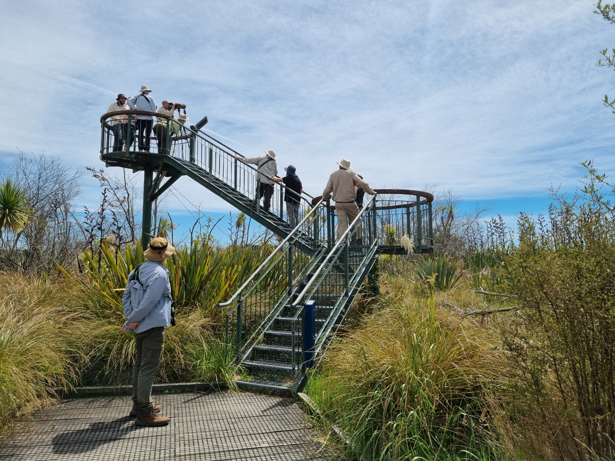 Travis Wetland tower