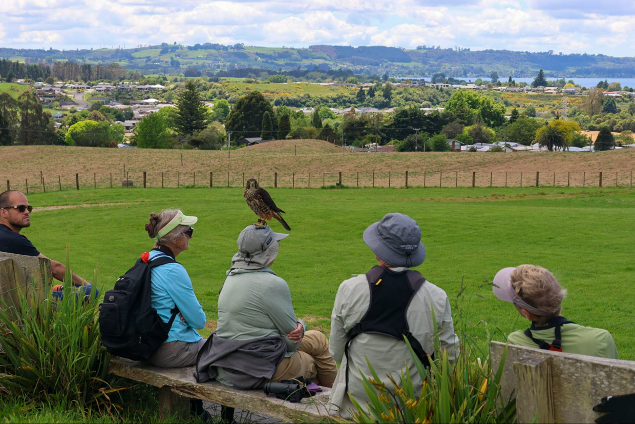 Left: Visiting Wingspan Birds of Prey Centre 