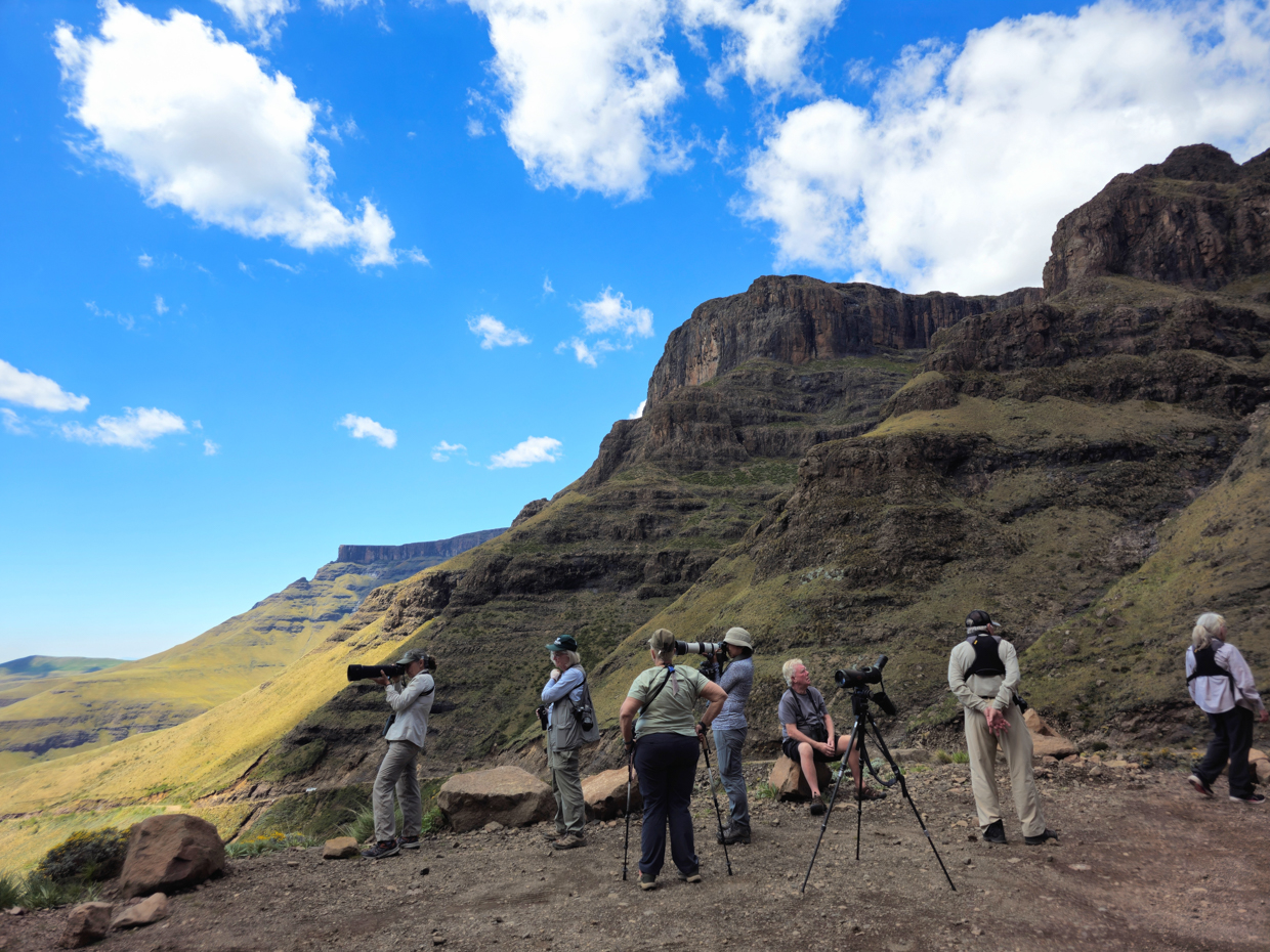 Birding group at Sani Pass