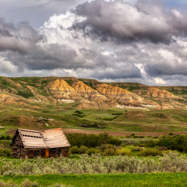 Abandoned homestead near Eastend