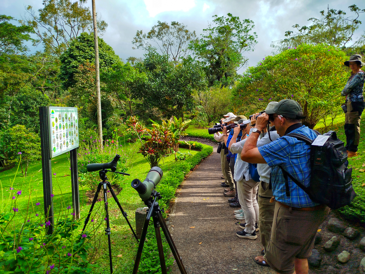 Birding Arenal Observatory Lodge