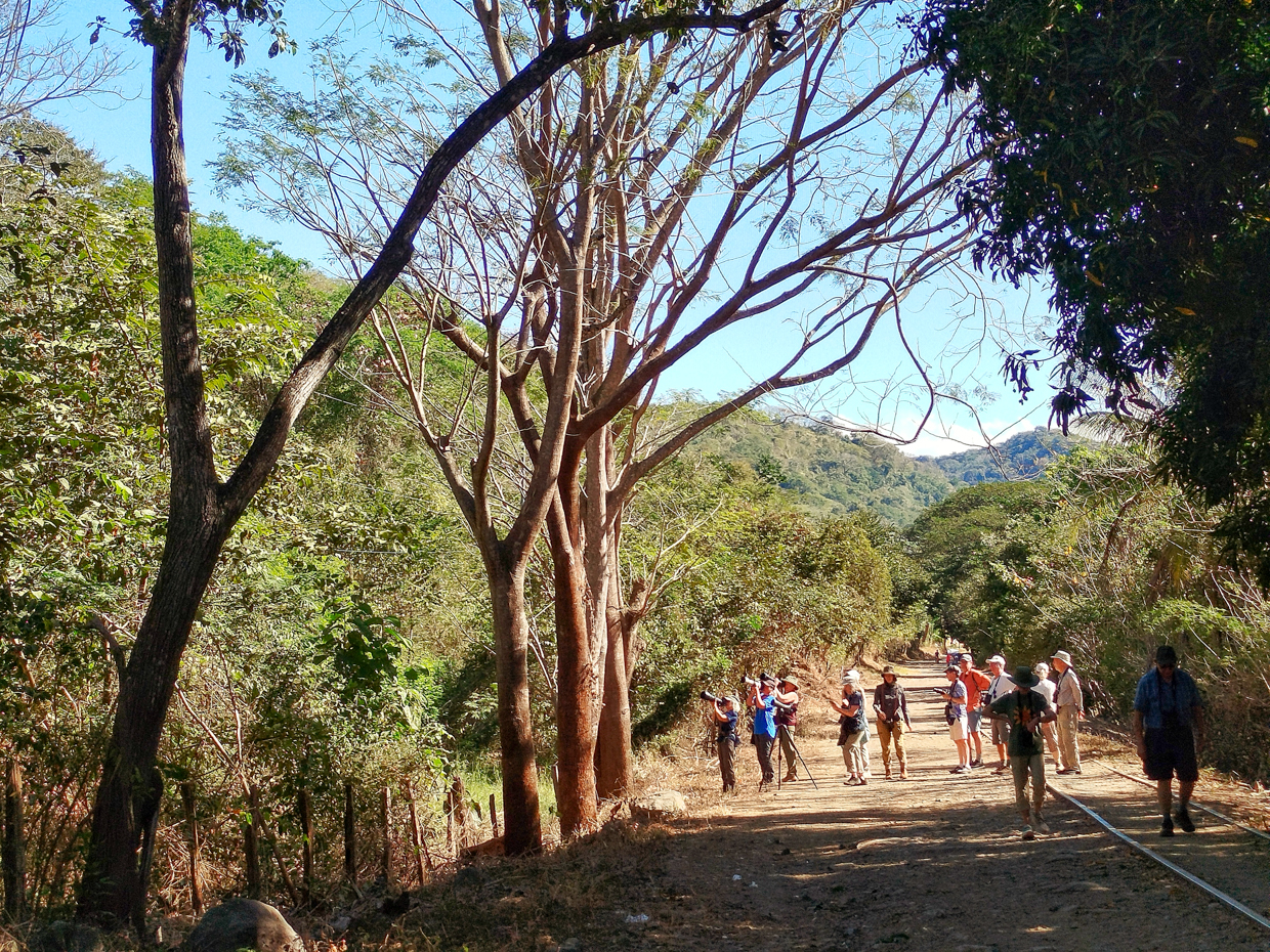 Birding at Caldera