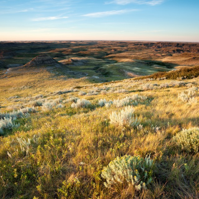 Grasslands National Park Saskatchewan Canada