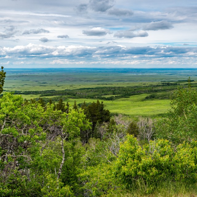 The view from Lookout Point in Cypress Hills Interprovincial Park, Saskatchewan