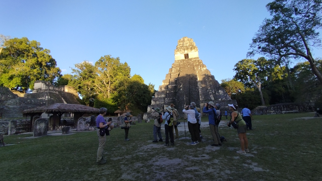 Birding in Tikal Grand Plaza