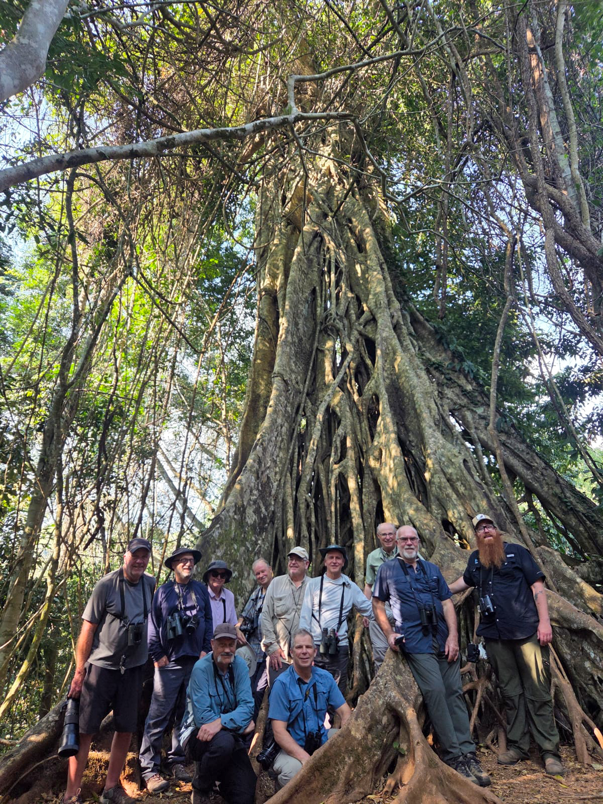 Thailand birding tour