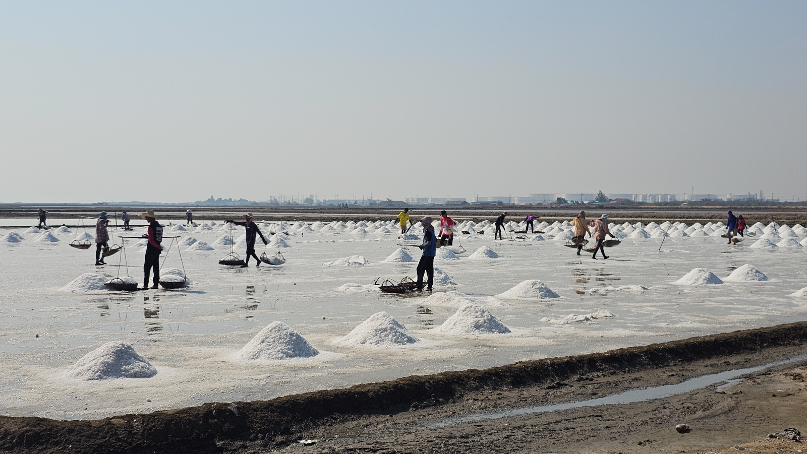 Salt Pans 