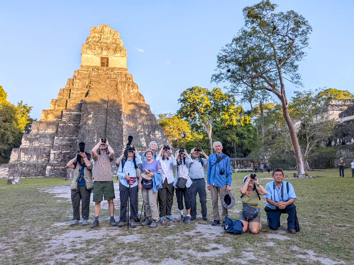 Birding in Tikal