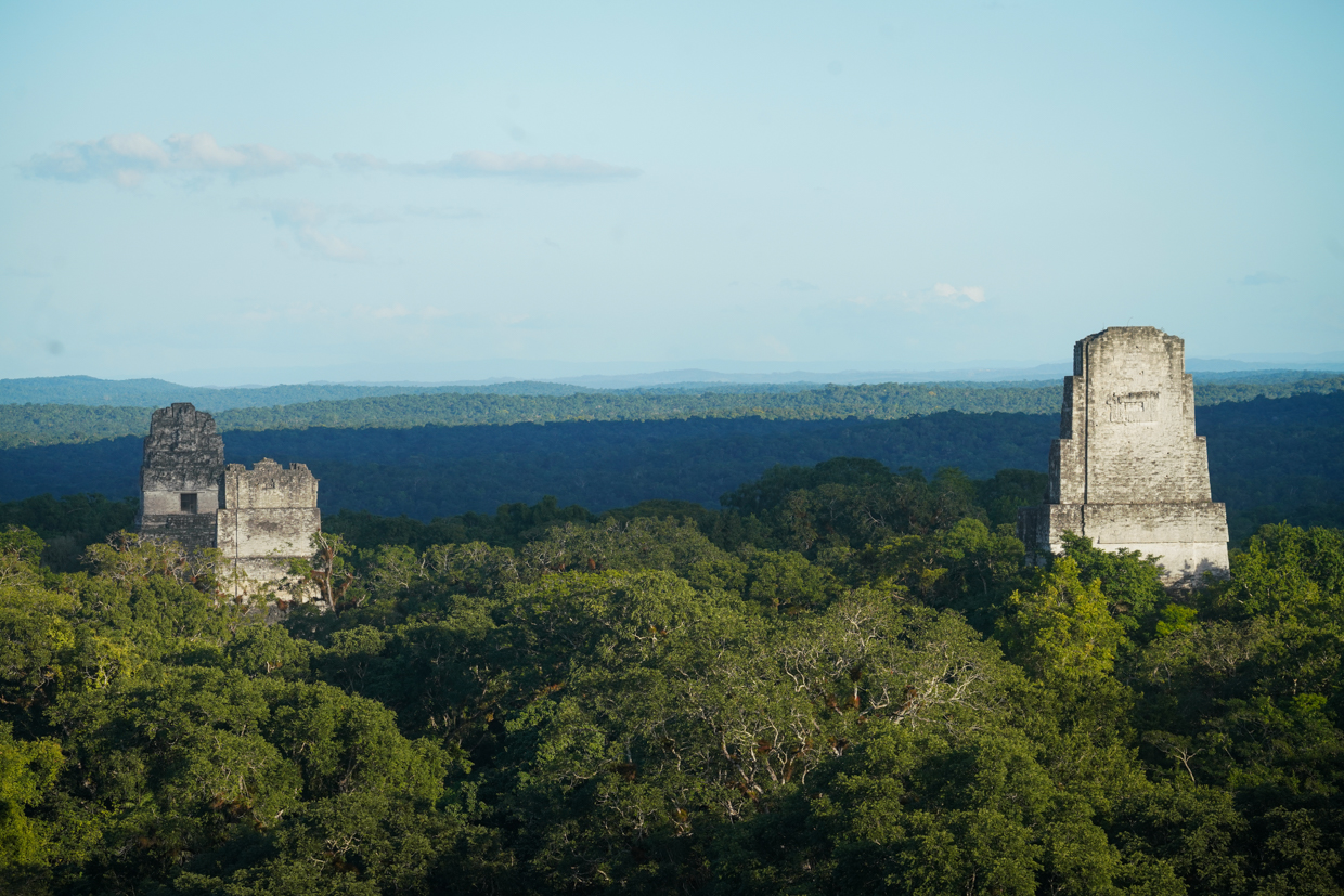 View from Tikal Temple IV
