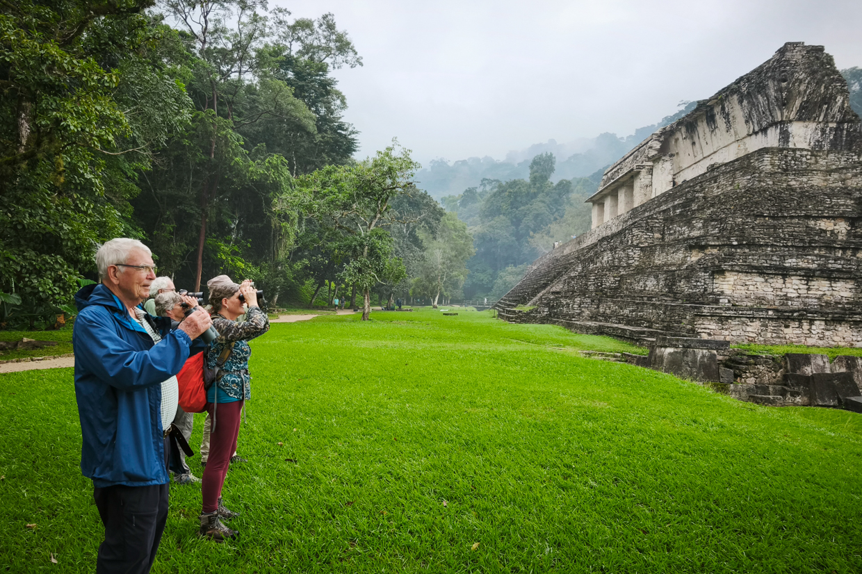 Birding in Palenque