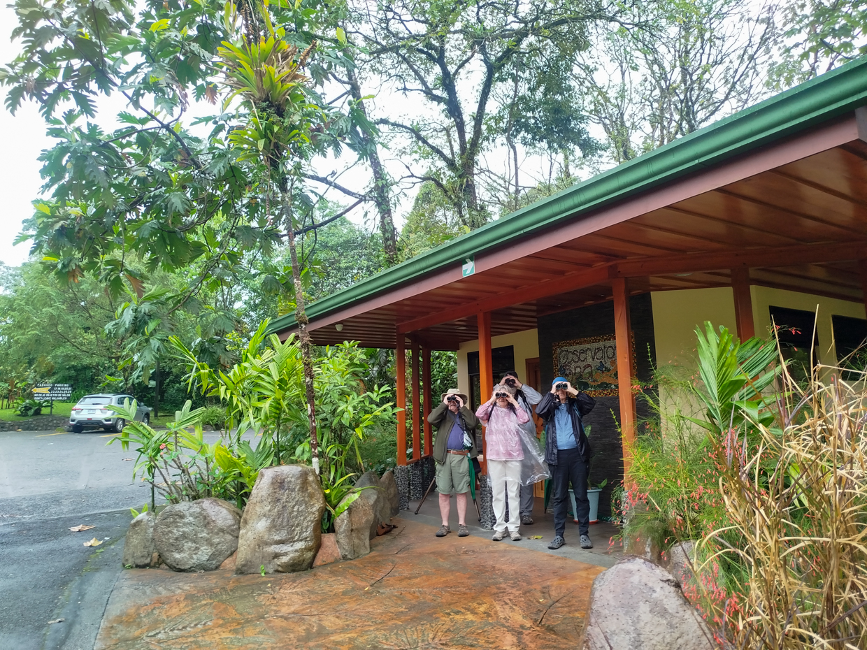 Birding Arenal Observatory Lodge