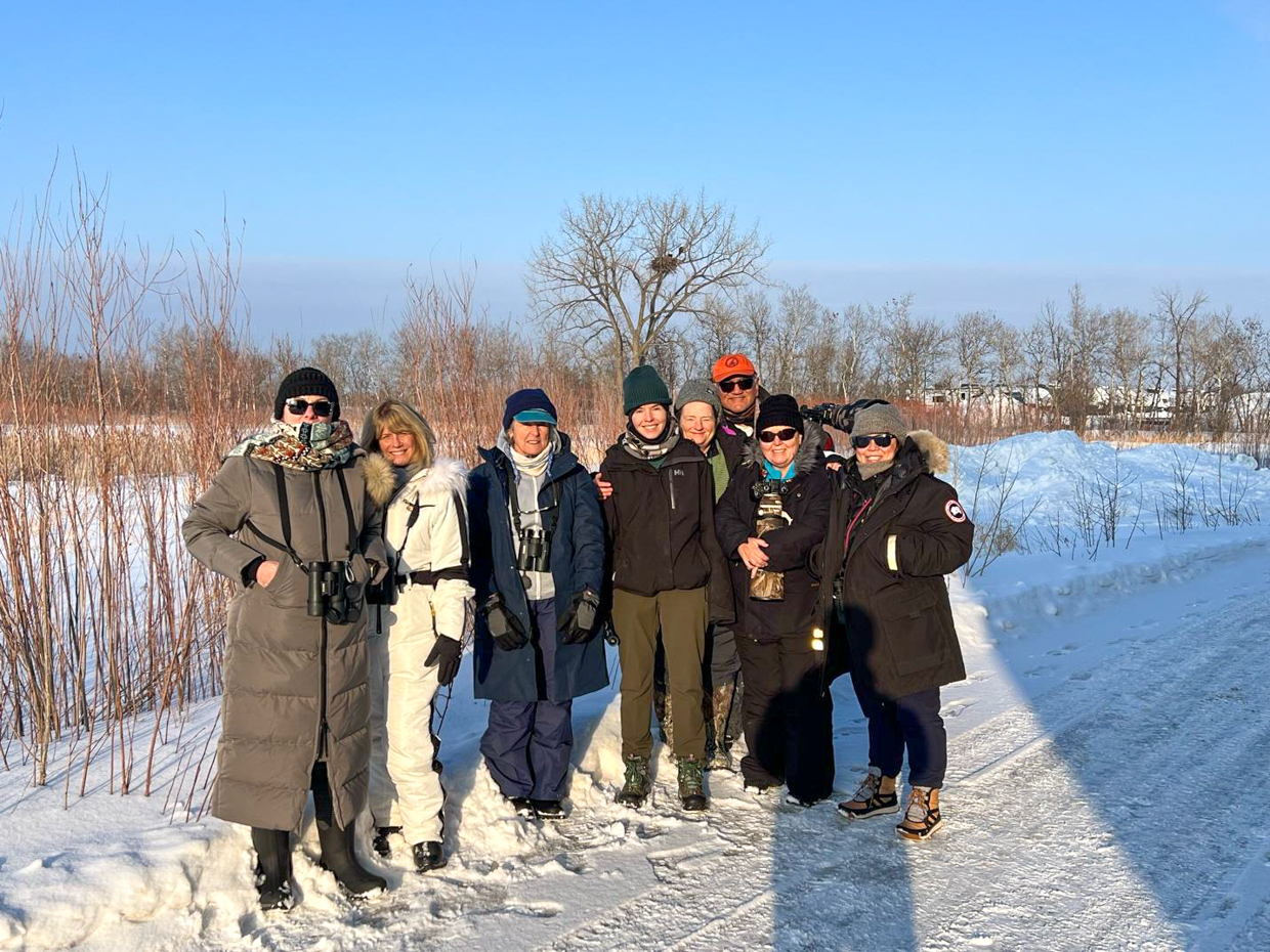 Manitoba Owls birding group