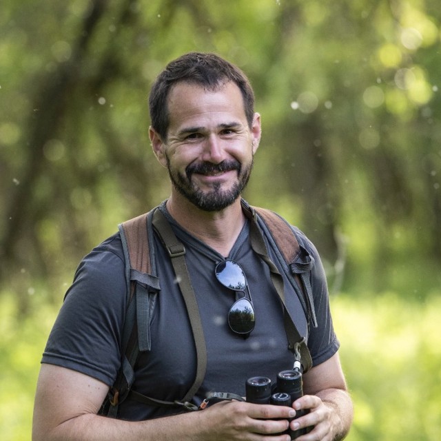 Máté Havasi - Bird Guide