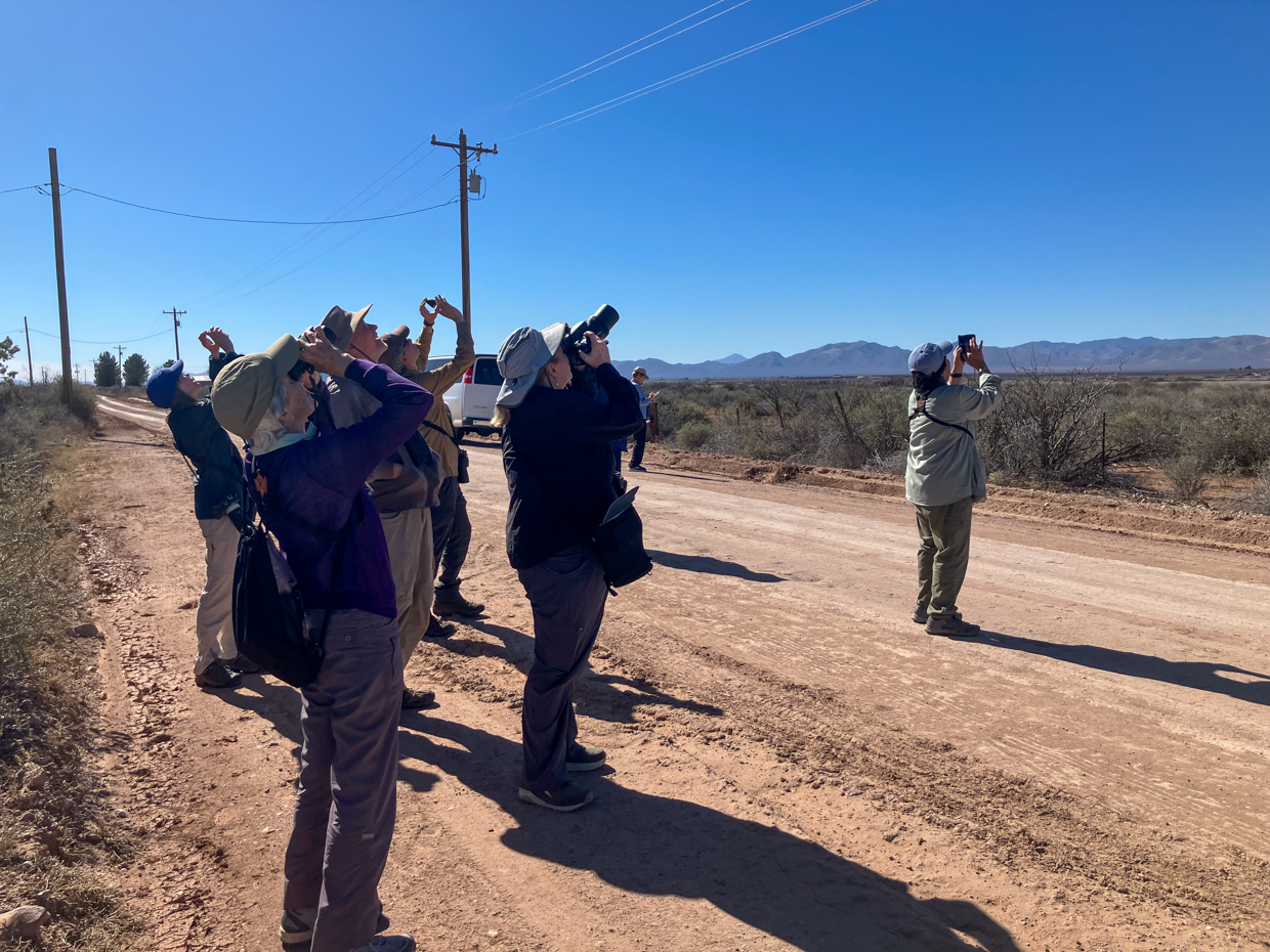 The Group Watching the Skies