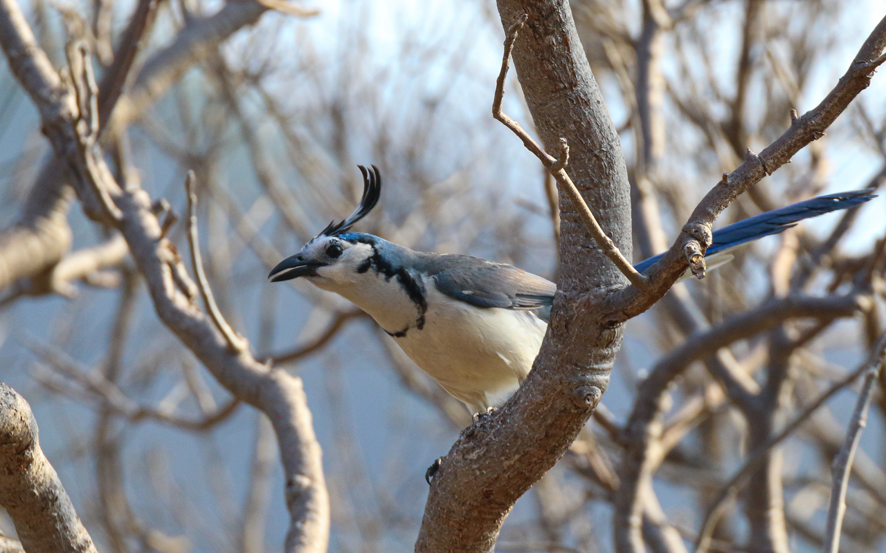 Southern Mexico (March 18 – April 1, 2026)