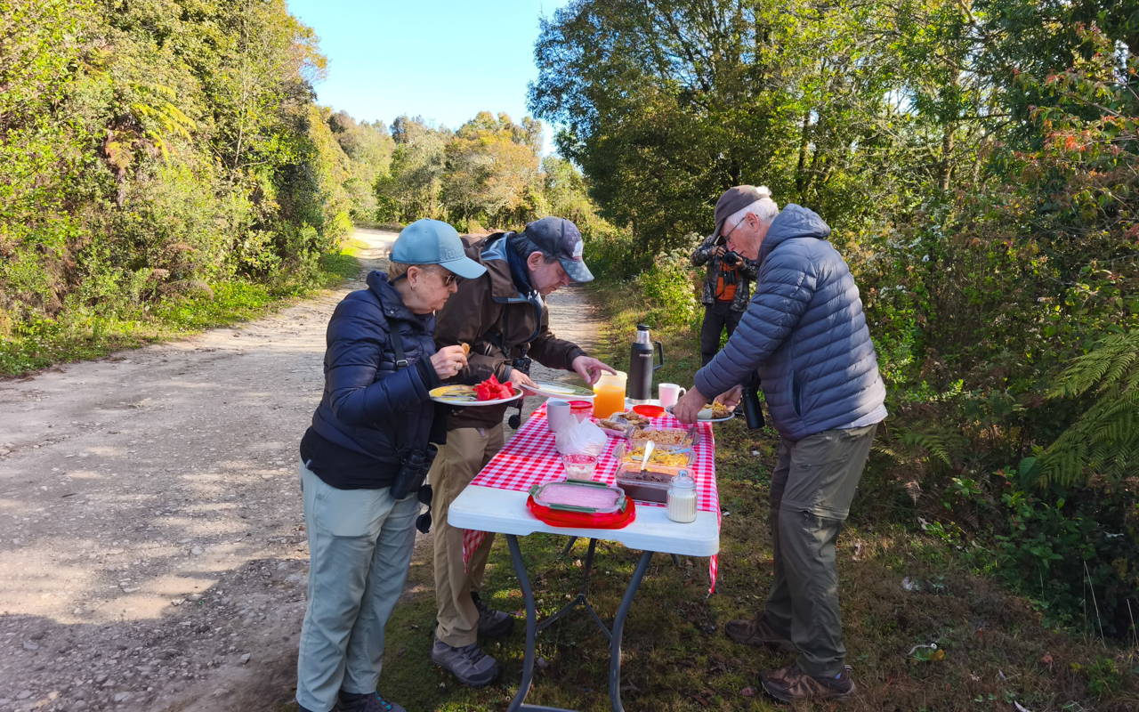 Southern Mexico (March 18 – April 1, 2026)