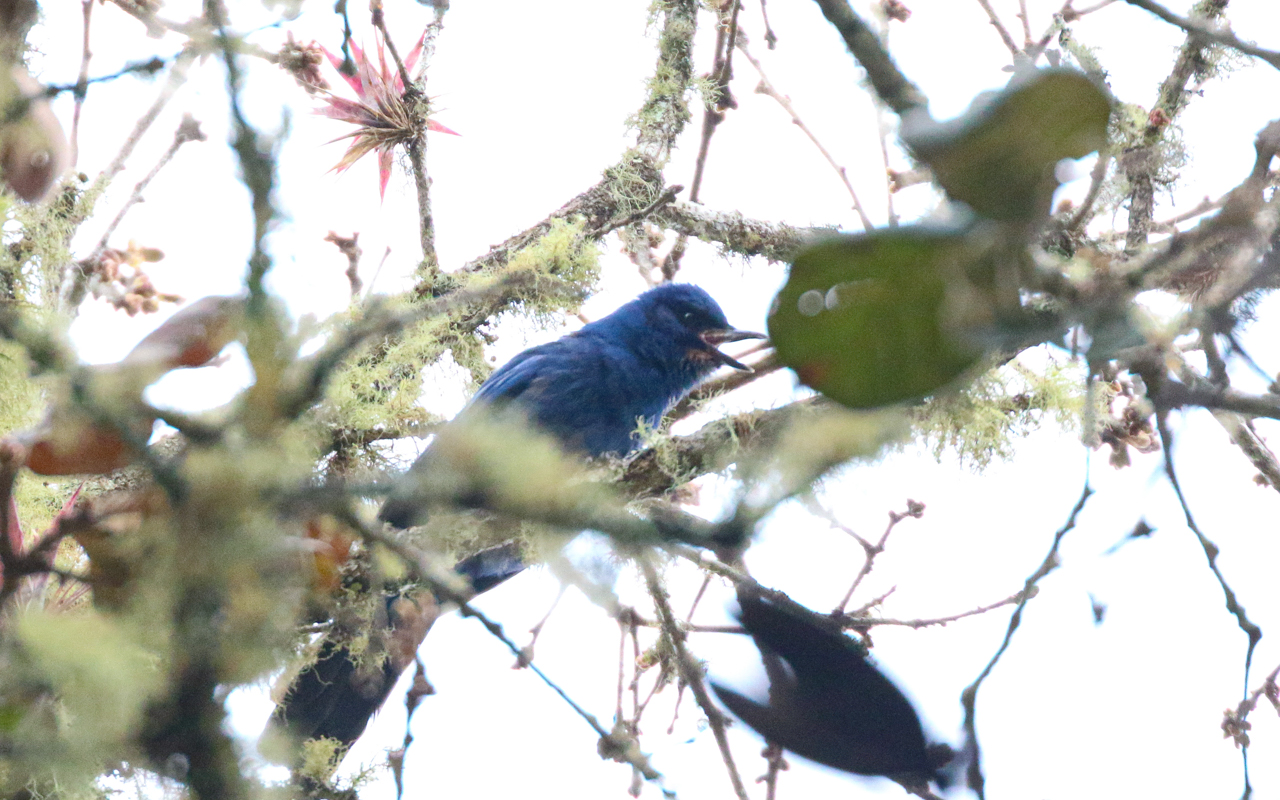 Southern Mexico (March 18 – April 1, 2026)