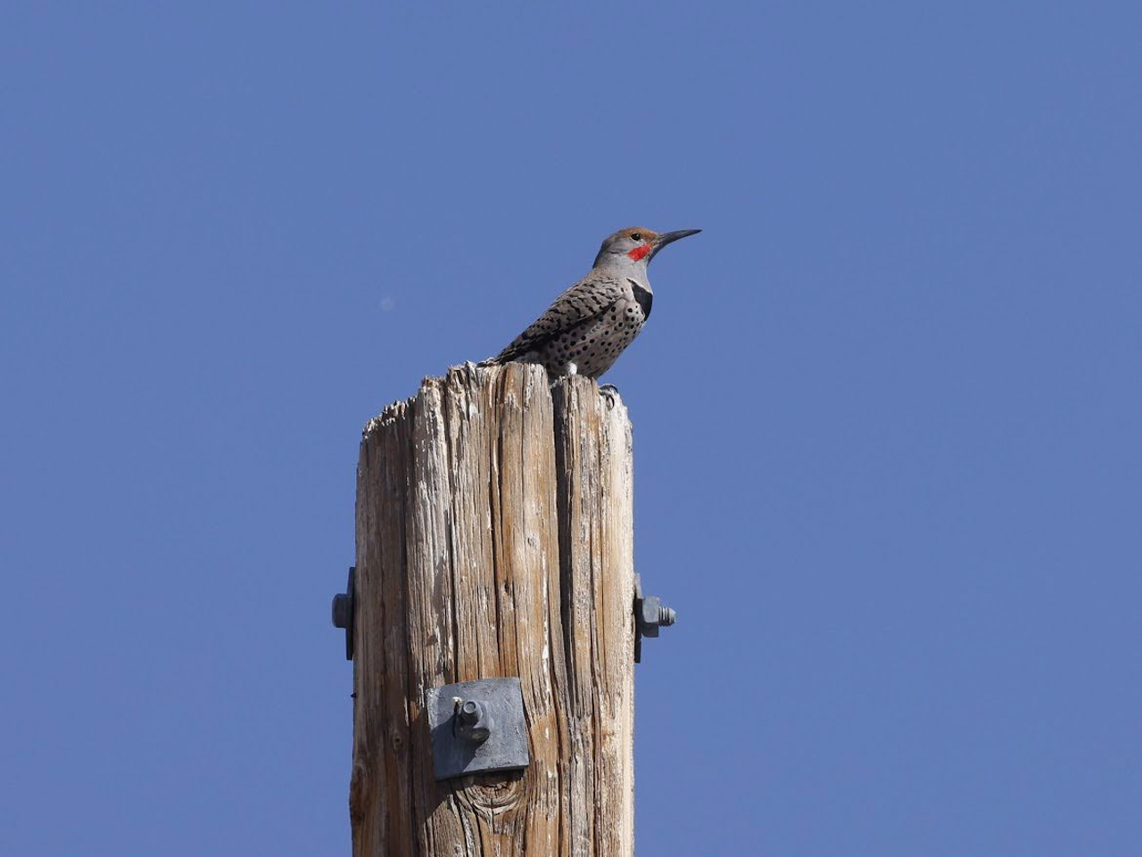 Arizona in Winter Trip Report (March 2026)