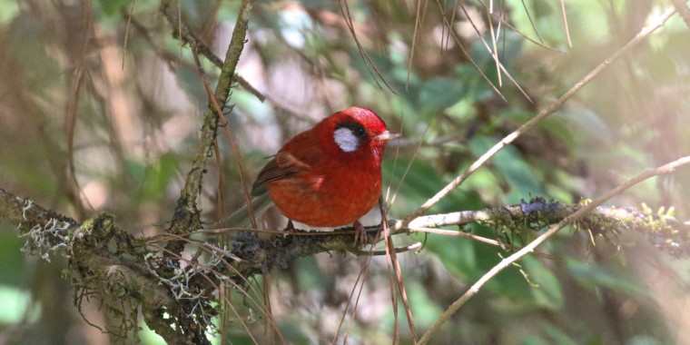 Southern Mexico (March 18 - April 1, 2026)