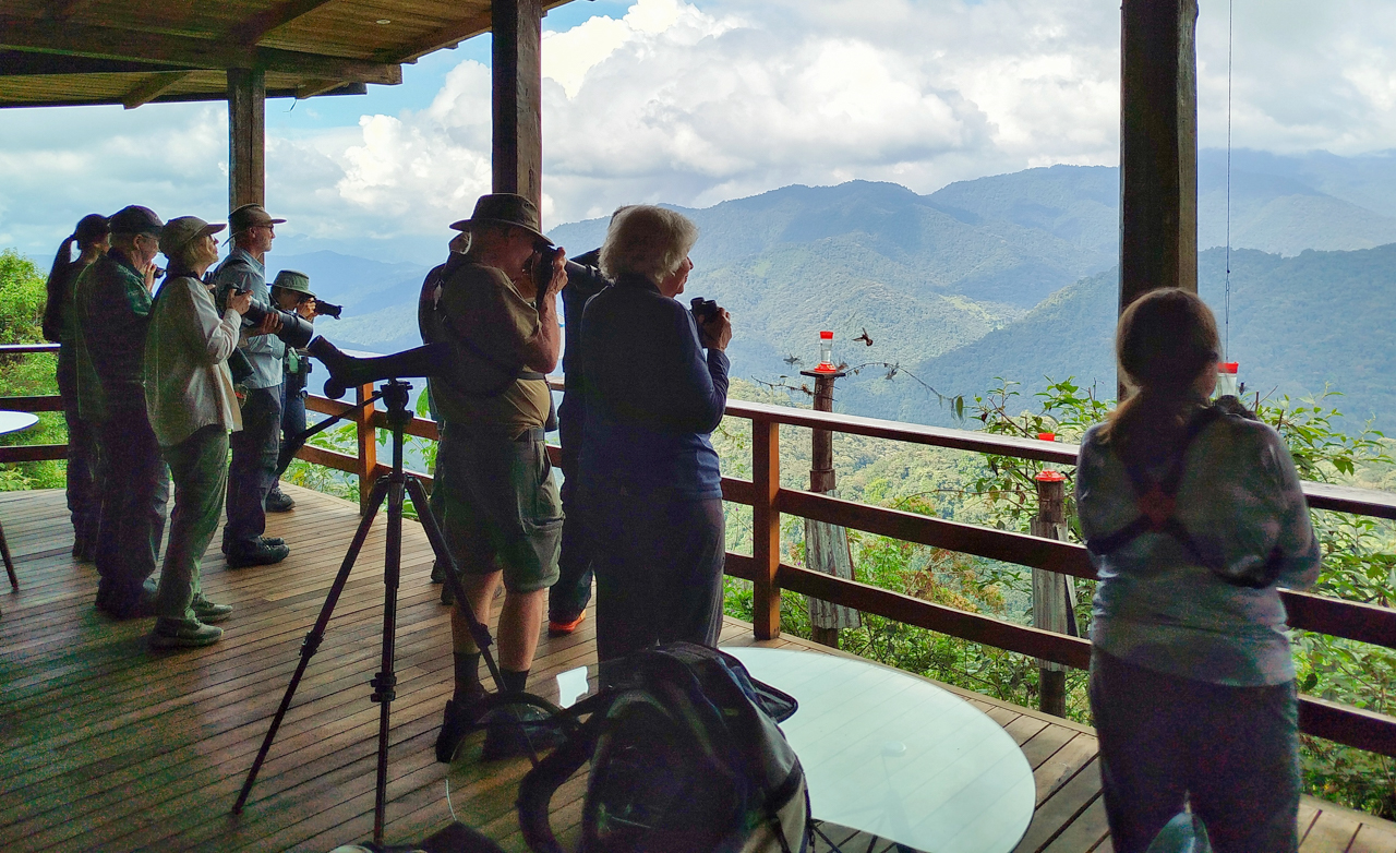 Grand Ecuador Trip Report (Mar 30 – Apr 15, 2026)