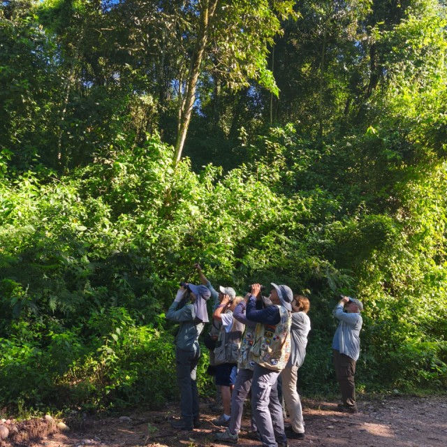 Birding Huaico Reserve in Salta