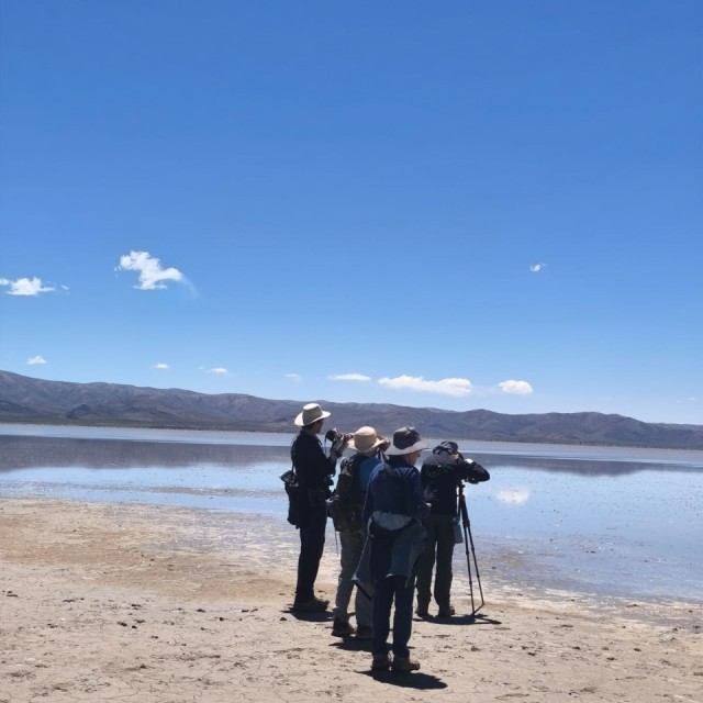 Birding Lake Pozuelos