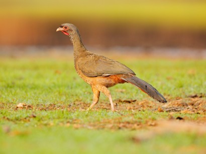 Northwest Argentina