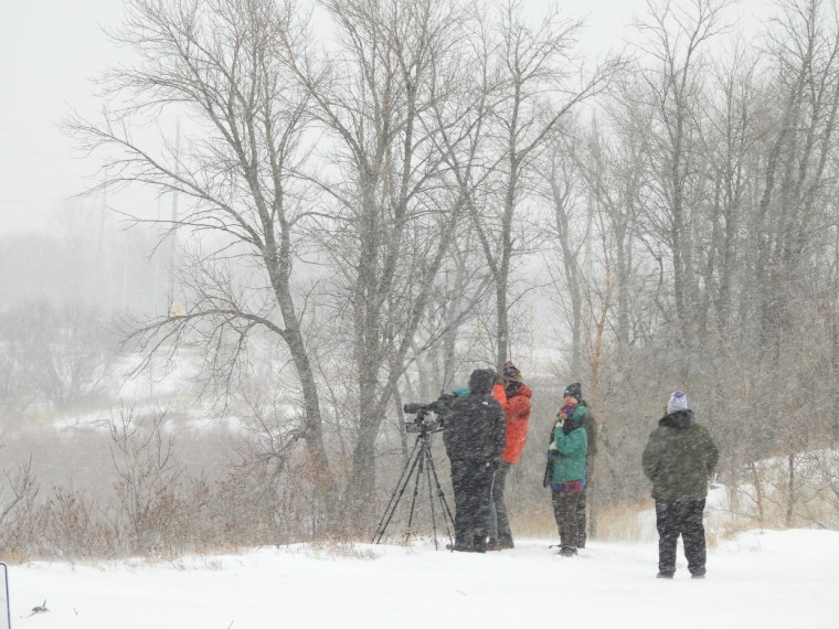 Birding in Manitoba