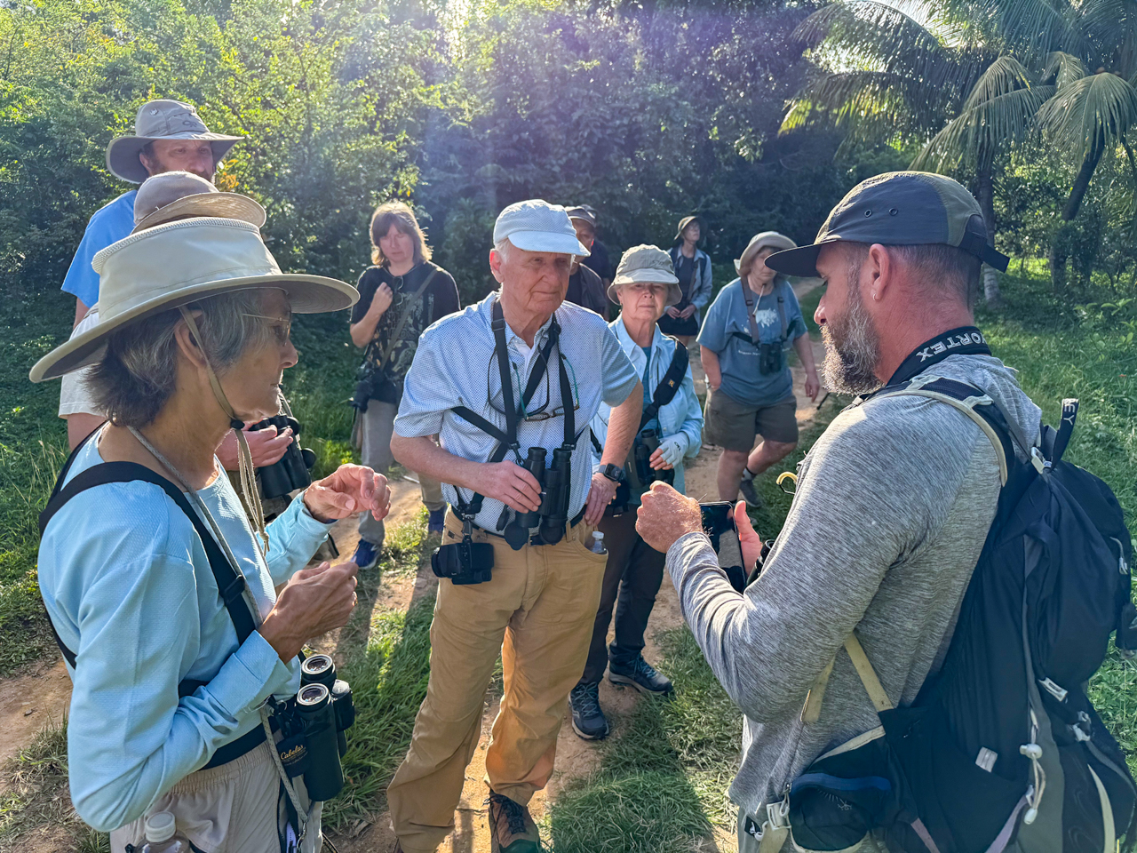 Birding in Puerto Rico