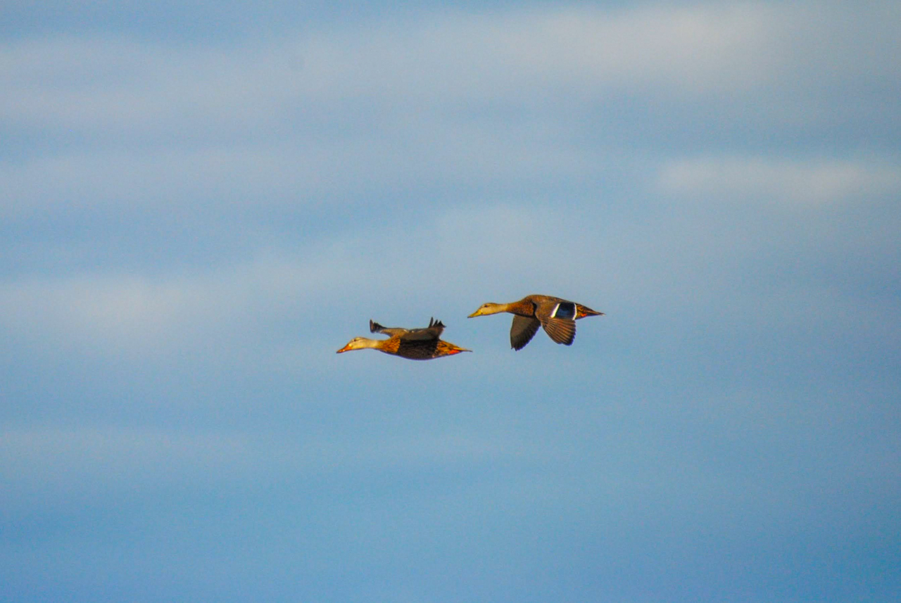 Arizona in Winter Trip Report (March 2026)