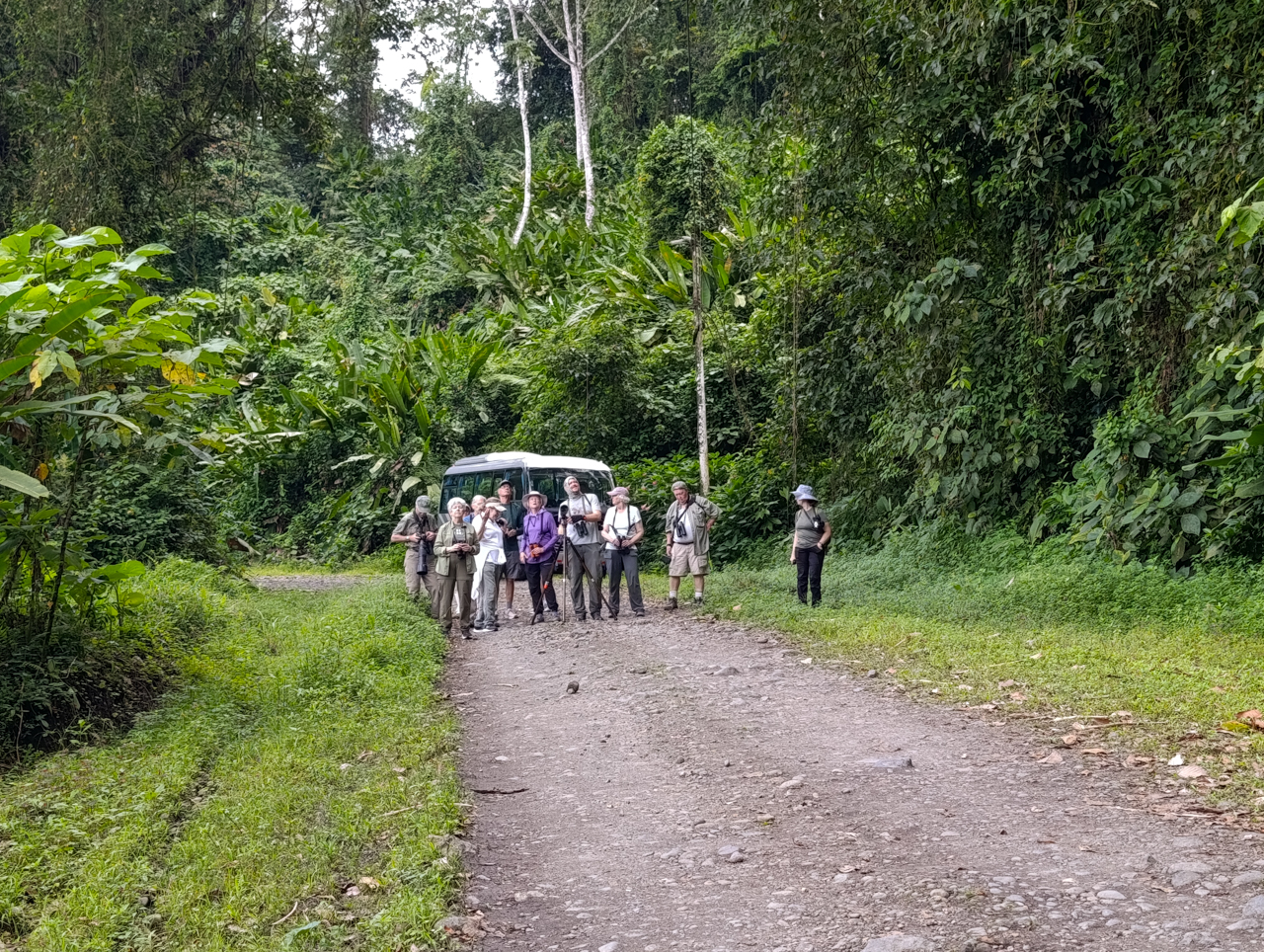 Peninsula Road Arenal