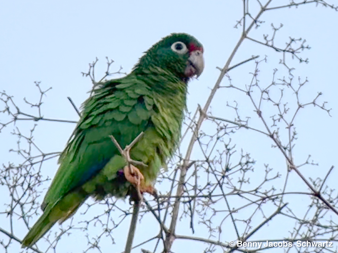 Puerto Rico (March 3 – Mar 10, 2026)