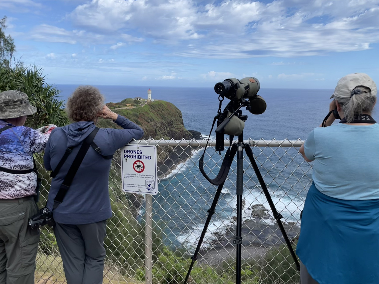 Hawaii Trip Report (Mar 9 -26, 2026)