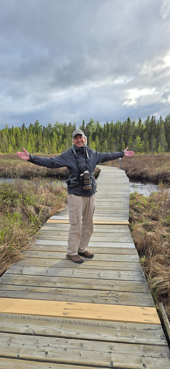 Point Pelee & Algonquin Park Trip Report (May 11 – 22, 2026)