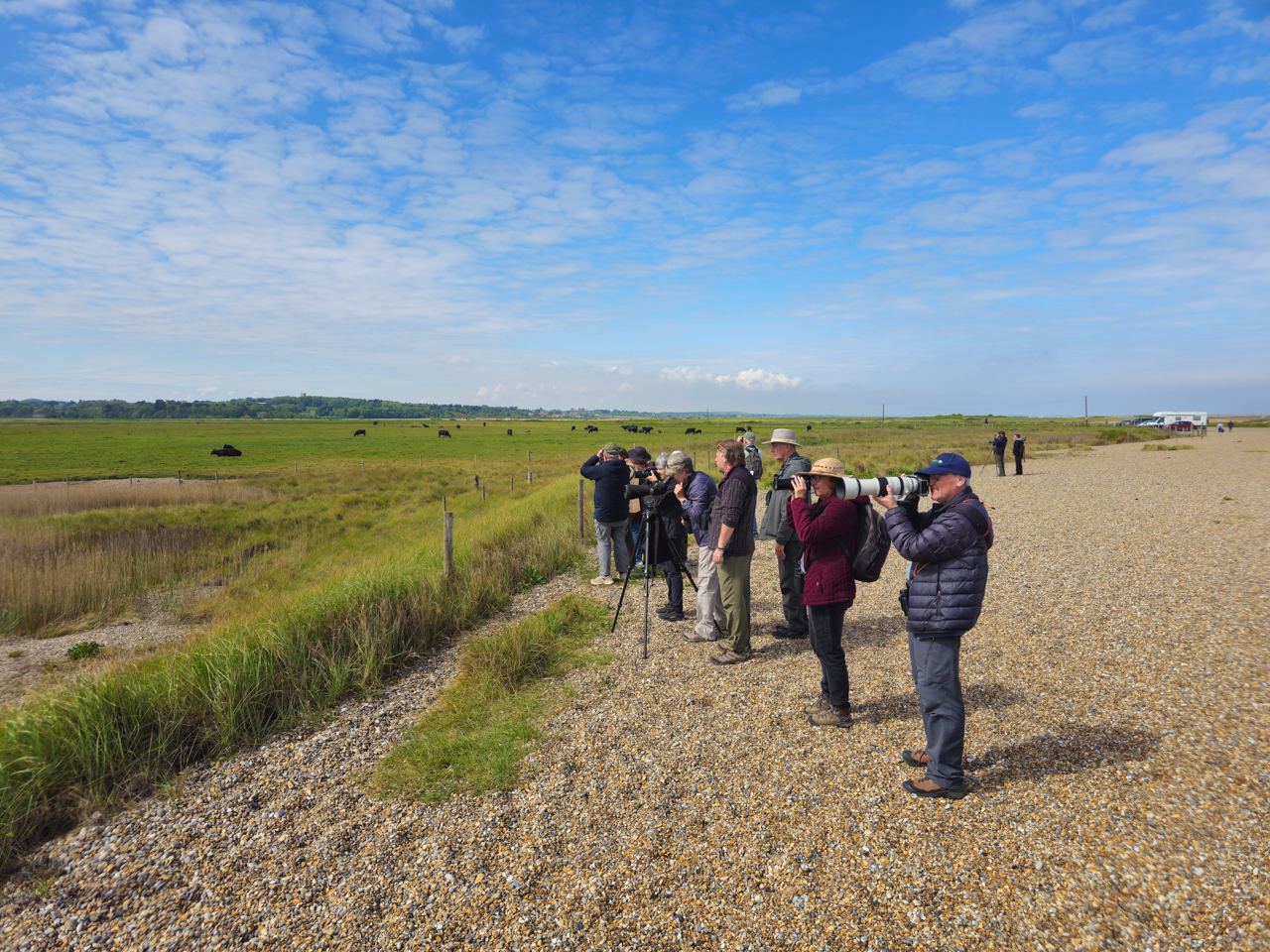 Birding group on Cley Beach