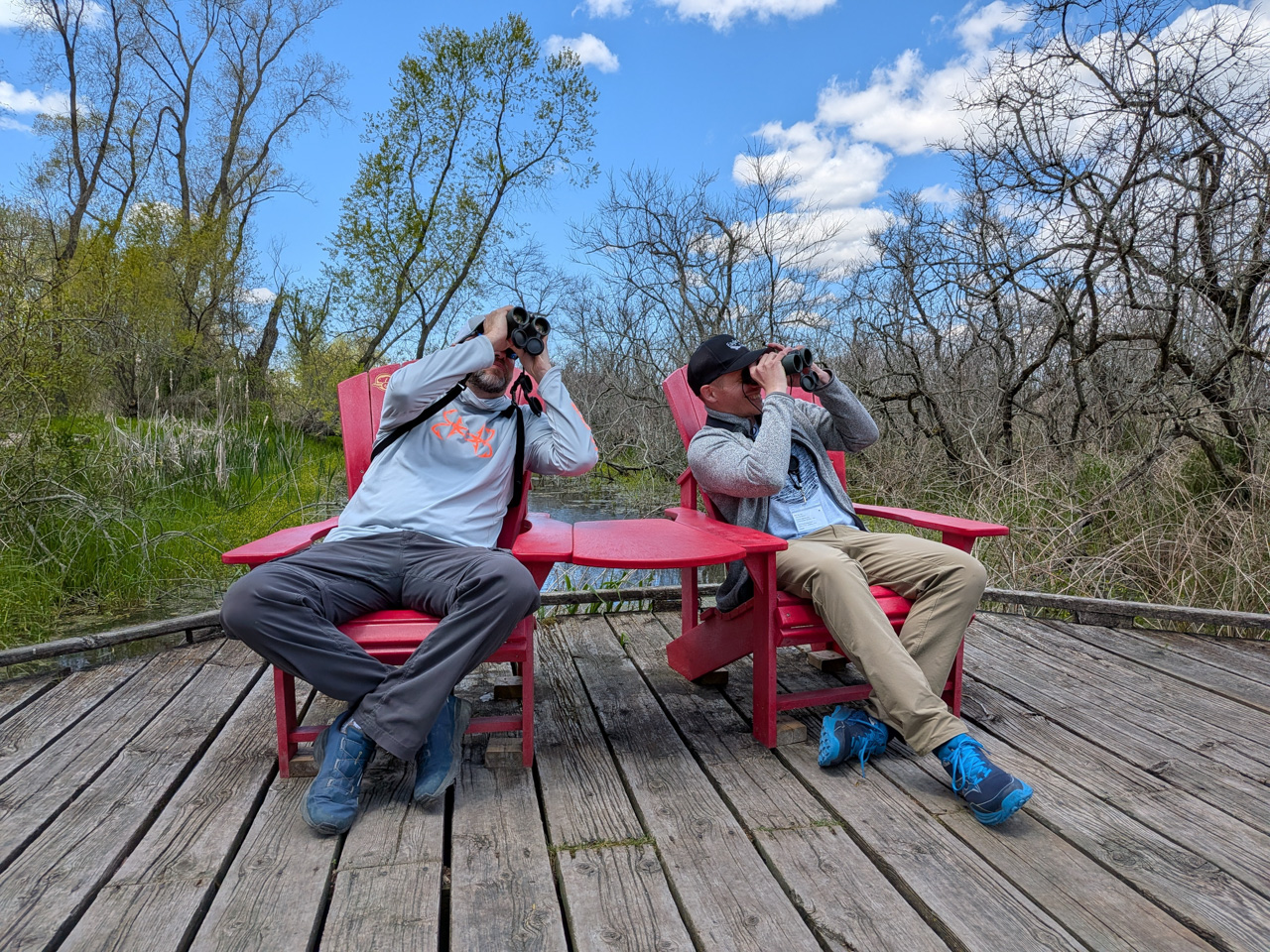 Point Pelee & Algonquin Park Trip Report (May 11 – 22, 2026)