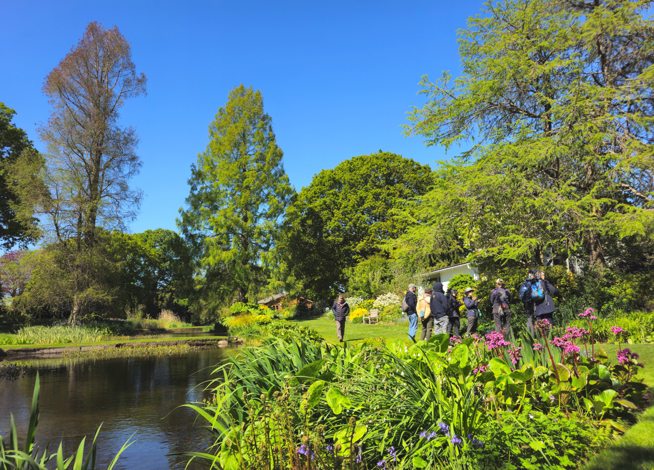 Group at Beth Chatto Gardens