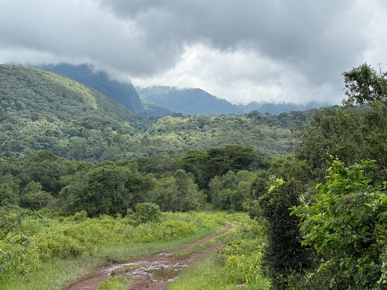 Arusha National Park