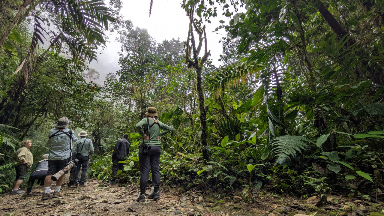 Birding Montezuma