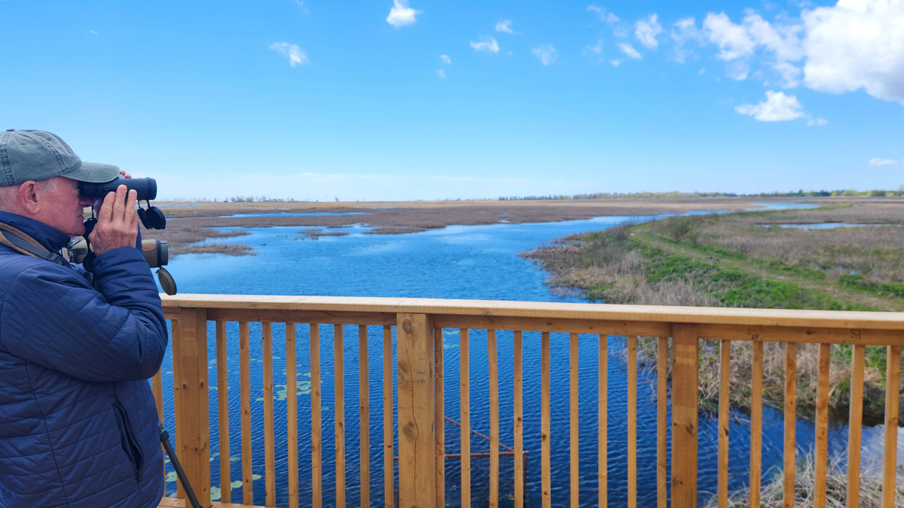 Birding Big Creek
